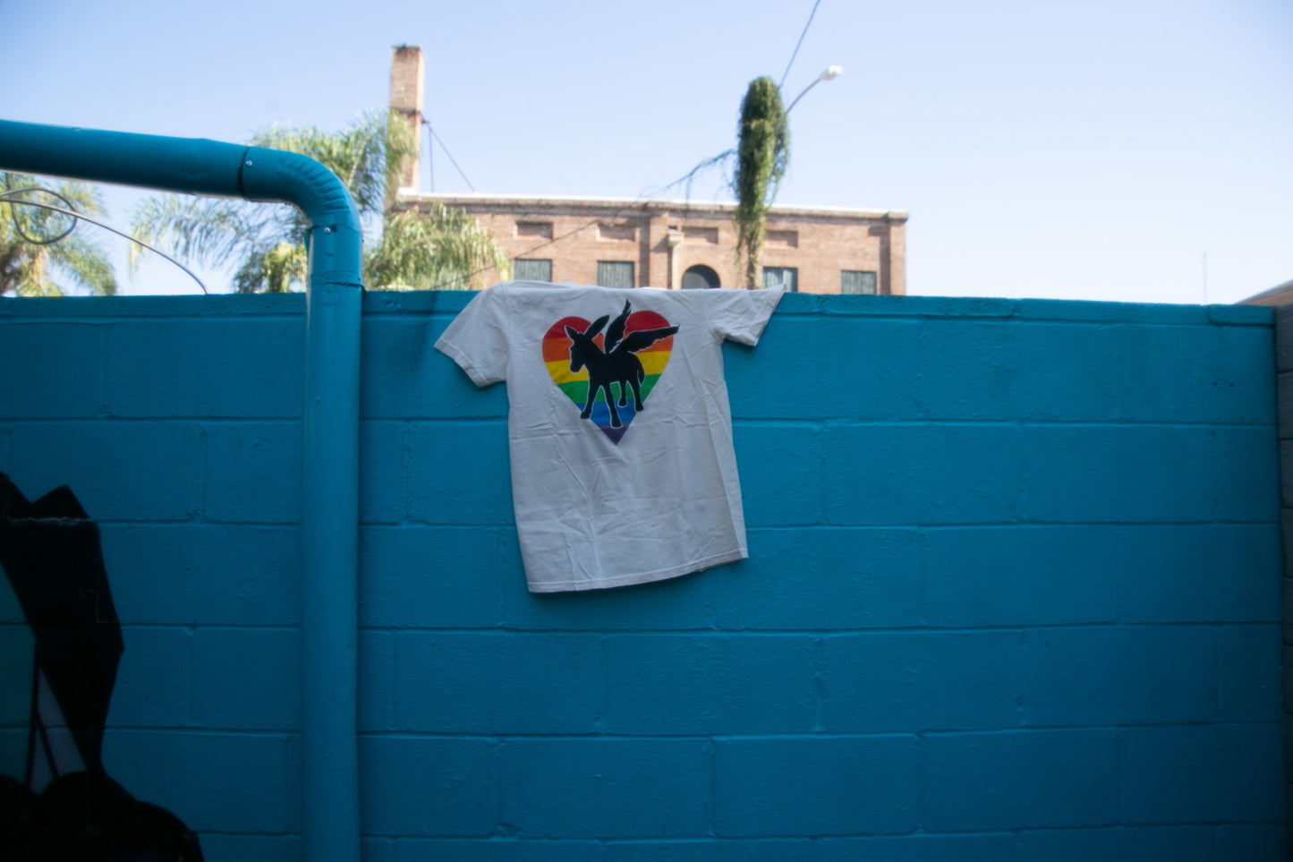 Rainbow Heart Burro Tshirt